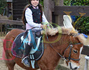 Badyhoeve is een terrein dat tot 3kinderen en hun pony's met de hond Djackson behoort.