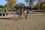 Badyhoeve is een terrein dat tot 3kinderen en hun pony's met de hond Djackson behoort.