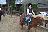 Badyhoeve is een terrein dat tot 3kinderen en hun pony's met de hond Djackson behoort.
