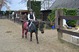 Badyhoeve is een terrein dat tot 3kinderen en hun pony's met de hond Djackson behoort.