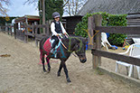 Badyhoeve is een terrein dat tot 3kinderen en hun pony's met de hond Djackson behoort.