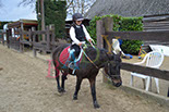 Badyhoeve is een terrein dat tot 3kinderen en hun pony's met de hond Djackson behoort.
