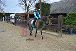 Badyhoeve is een terrein dat tot 3kinderen en hun pony's met de hond Djackson behoort.