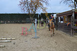 Badyhoeve is een terrein dat tot 3kinderen en hun pony's met de hond Djackson behoort.