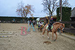 Badyhoeve is een terrein dat tot 3kinderen en hun pony's met de hond Djackson behoort.