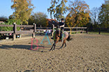 Badyhoeve is een terrein dat tot 3kinderen en hun pony's met de hond Djackson behoort.
