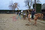 Badyhoeve is een terrein dat tot 3kinderen en hun pony's met de hond Djackson behoort.