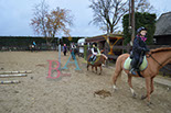 Badyhoeve is een terrein dat tot 3kinderen en hun pony's met de hond Djackson behoort.