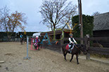 Badyhoeve is een terrein dat tot 3kinderen en hun pony's met de hond Djackson behoort.