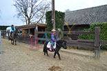 Badyhoeve is een terrein dat tot 3kinderen en hun pony's met de hond Djackson behoort.