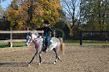 Badyhoeve is een terrein dat tot 3kinderen en hun pony's met de hond Djackson behoort.