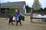 Badyhoeve is een terrein dat tot 3kinderen en hun pony's met de hond Djackson behoort.