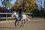 Badyhoeve is een terrein dat tot 3kinderen en hun pony's met de hond Djackson behoort.