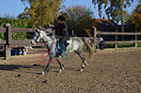 Badyhoeve is een terrein dat tot 3kinderen en hun pony's met de hond Djackson behoort.