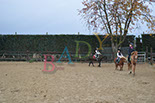 Badyhoeve is een terrein dat tot 3kinderen en hun pony's met de hond Djackson behoort.