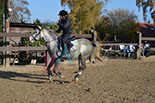 Badyhoeve is een terrein dat tot 3kinderen en hun pony's met de hond Djackson behoort.