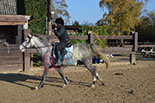 Badyhoeve is een terrein dat tot 3kinderen en hun pony's met de hond Djackson behoort.