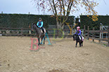 Badyhoeve is een terrein dat tot 3kinderen en hun pony's met de hond Djackson behoort.