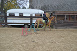 Badyhoeve is een terrein dat tot 3kinderen en hun pony's met de hond Djackson behoort.