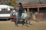 Badyhoeve is een terrein dat tot 3kinderen en hun pony's met de hond Djackson behoort.