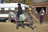 Badyhoeve is een terrein dat tot 3kinderen en hun pony's met de hond Djackson behoort.