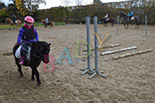 Badyhoeve is een terrein dat tot 3kinderen en hun pony's met de hond Djackson behoort.