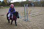 Badyhoeve is een terrein dat tot 3kinderen en hun pony's met de hond Djackson behoort.
