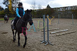 Badyhoeve is een terrein dat tot 3kinderen en hun pony's met de hond Djackson behoort.