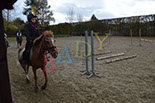 Badyhoeve is een terrein dat tot 3kinderen en hun pony's met de hond Djackson behoort.