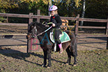 Badyhoeve is een terrein dat tot 3kinderen en hun pony's met de hond Djackson behoort.