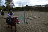 Badyhoeve is een terrein dat tot 3kinderen en hun pony's met de hond Djackson behoort.