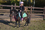Badyhoeve is een terrein dat tot 3kinderen en hun pony's met de hond Djackson behoort.