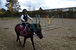Badyhoeve is een terrein dat tot 3kinderen en hun pony's met de hond Djackson behoort.