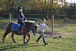 Badyhoeve is een terrein dat tot 3kinderen en hun pony's met de hond Djackson behoort.