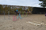 Badyhoeve is een terrein dat tot 3kinderen en hun pony's met de hond Djackson behoort.