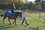Badyhoeve is een terrein dat tot 3kinderen en hun pony's met de hond Djackson behoort.