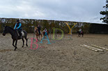 Badyhoeve is een terrein dat tot 3kinderen en hun pony's met de hond Djackson behoort.