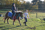 Badyhoeve is een terrein dat tot 3kinderen en hun pony's met de hond Djackson behoort.
