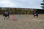 Badyhoeve is een terrein dat tot 3kinderen en hun pony's met de hond Djackson behoort.