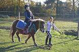 Badyhoeve is een terrein dat tot 3kinderen en hun pony's met de hond Djackson behoort.