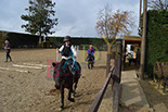 Badyhoeve is een terrein dat tot 3kinderen en hun pony's met de hond Djackson behoort.