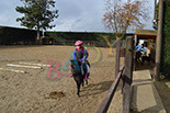 Badyhoeve is een terrein dat tot 3kinderen en hun pony's met de hond Djackson behoort.