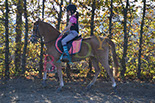 Badyhoeve is een terrein dat tot 3kinderen en hun pony's met de hond Djackson behoort.
