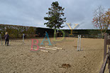 Badyhoeve is een terrein dat tot 3kinderen en hun pony's met de hond Djackson behoort.