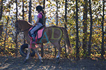 Badyhoeve is een terrein dat tot 3kinderen en hun pony's met de hond Djackson behoort.