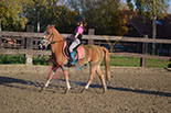 Badyhoeve is een terrein dat tot 3kinderen en hun pony's met de hond Djackson behoort.