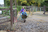 Badyhoeve is een terrein dat tot 3kinderen en hun pony's met de hond Djackson behoort.