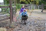 Badyhoeve is een terrein dat tot 3kinderen en hun pony's met de hond Djackson behoort.