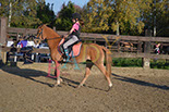 Badyhoeve is een terrein dat tot 3kinderen en hun pony's met de hond Djackson behoort.