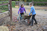 Badyhoeve is een terrein dat tot 3kinderen en hun pony's met de hond Djackson behoort.